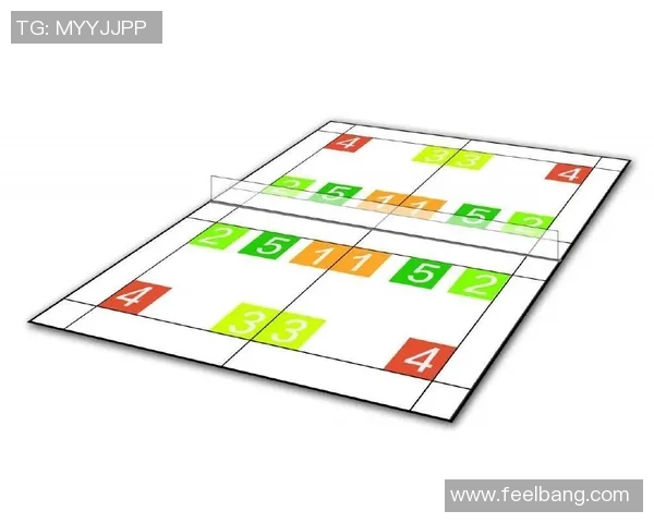 深圳羽毛球队防守战术深度分析与实战应用探讨